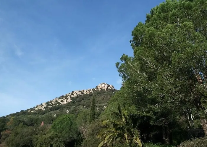 Gite De La Bayorre Vakantiehuis Hyères